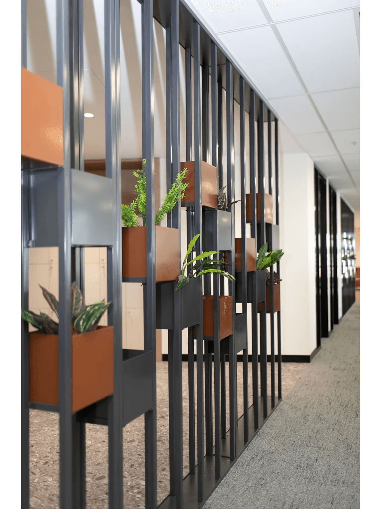 CHIFLEY TOWER - image 3